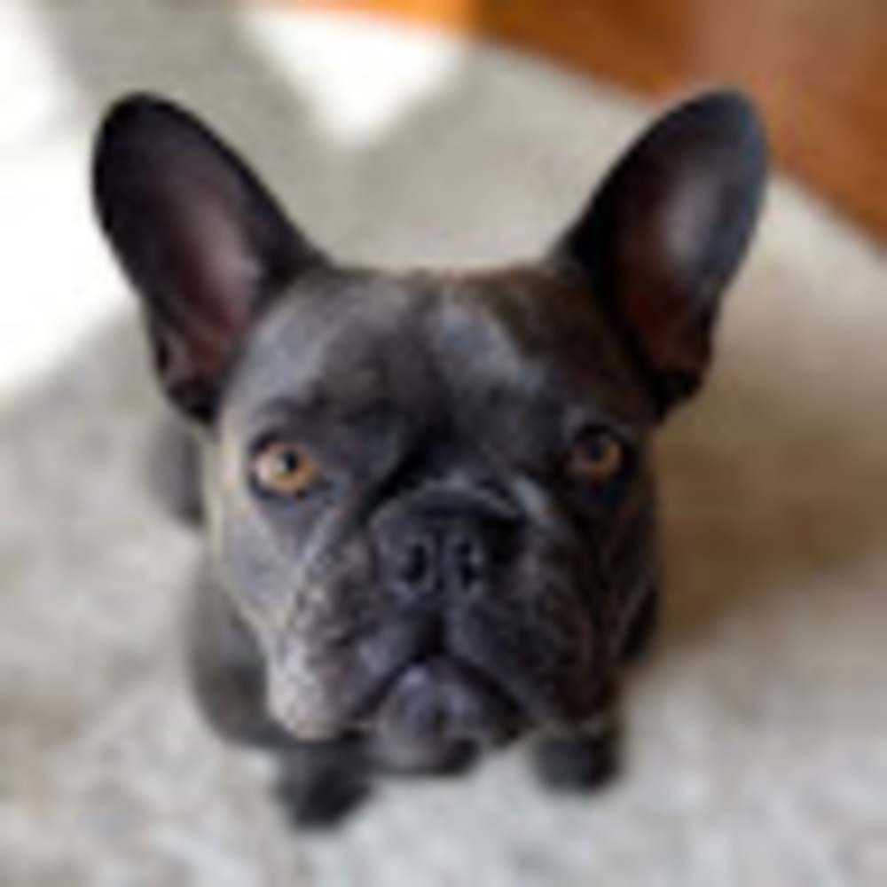 Meet your Posher, Chloe